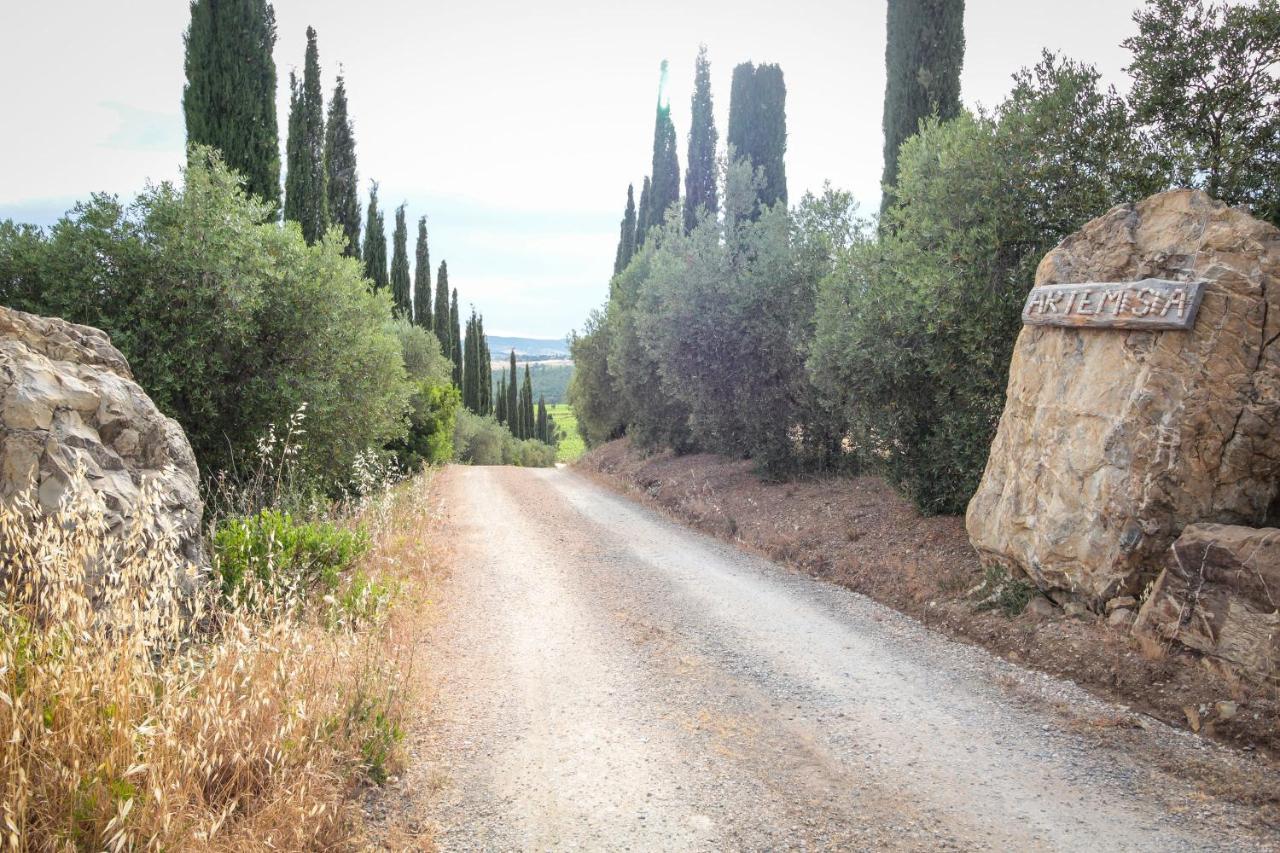 Artemisia Negli Ulivi B&B マリアーノ・イン・トスカーナ エクステリア 写真